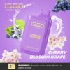 ISGO BAR 10000 Puffs DISPOSABLE VAPE Cherry Blossom Grape