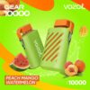 VOZOL GEAR 10000 DISPOSABLE Vape PEACH MANGO WATERMELON