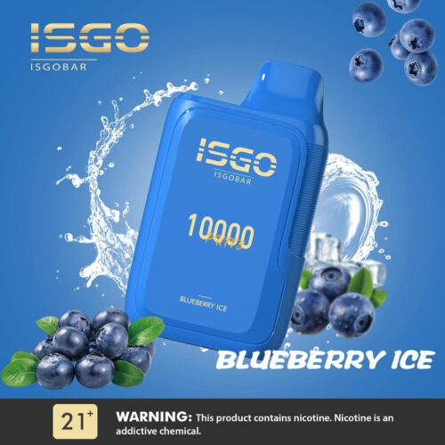 ISGO BAR 10,000 PUFFS DISPOSABLE VAP