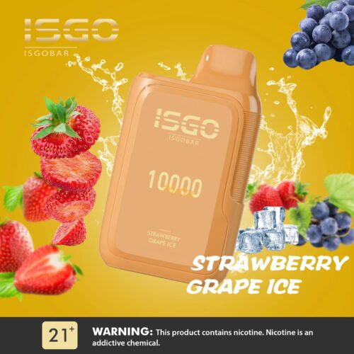 ISGO BAR 10,000 PUFFS DISPOSABLE VAP