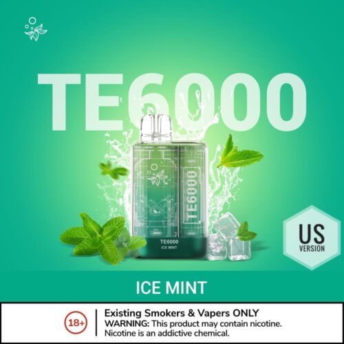 ELFBAR TE6000 Disposable Vape 6000 Puffs ICE MINT