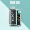 VOZOL VISTA MIAMI MINT 20000 PUFFS