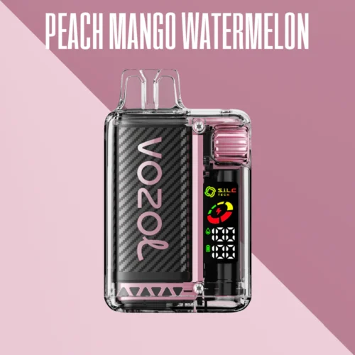 VOZOL VISTA PEACH MANGO WATERMELON 20000 PUFFS