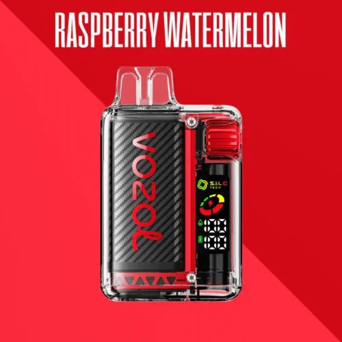 VOZOL VISTA RASPBERRY WATERMELON 20000 PUFFS