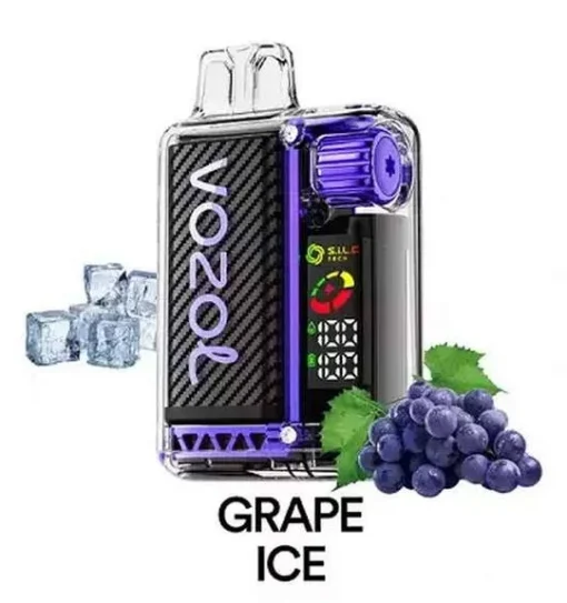 VOZOL VISTA GRAPE 20000 PUFFS