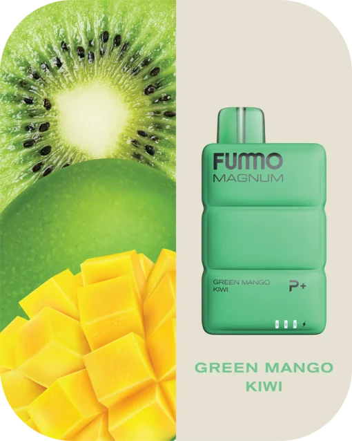 Fummo Magnum 8000 puffs nan rechargeable in Dubai