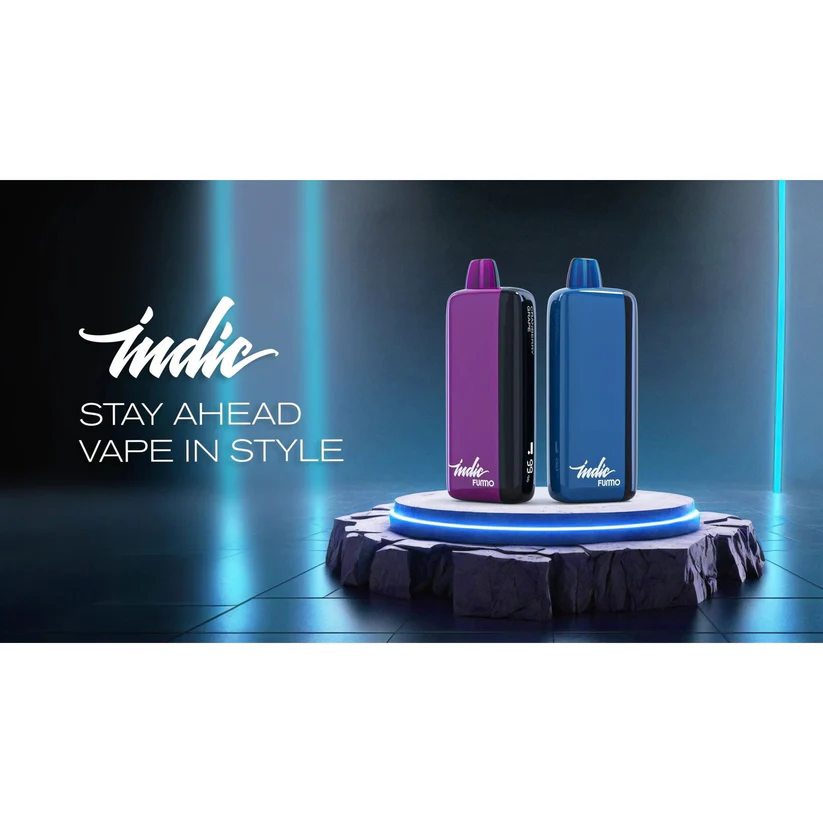 Blueberry ice Fummo Indic 12000 puffs 2% In Vapealo - Image 3