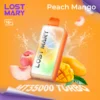 Lost Mary MT35000 Peach Mango Disposable Vape In Dubai UAE